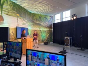 Live stream
